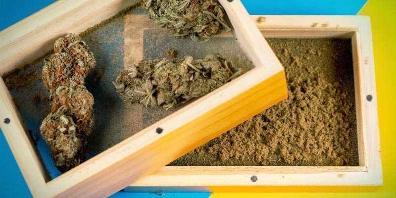 Comment Faire Du Hash - Zamnesia